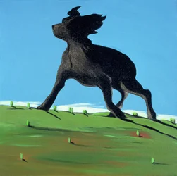 驚くべき黒い犬、2000年